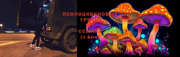 стаф Алексин