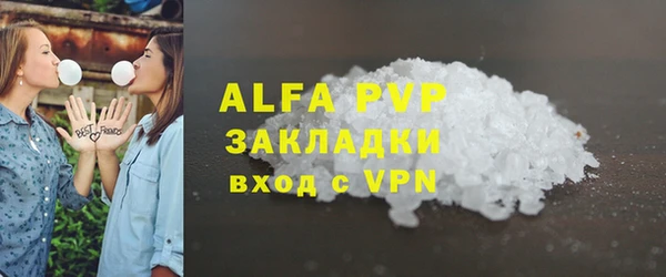 стаф Алексин