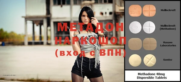 стаф Алексин