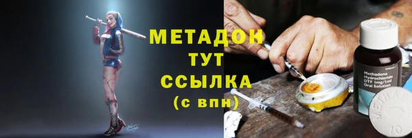 стаф Алексин
