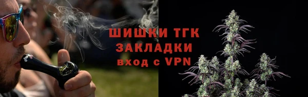прущие грибы Алексеевка