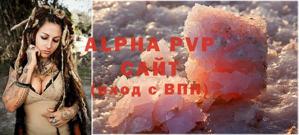 стаф Алексин