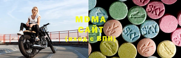 прущие грибы Алексеевка
