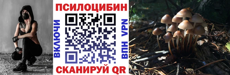 купить наркоту  Бобров  Псилоцибиновые грибы GOLDEN TEACHER 